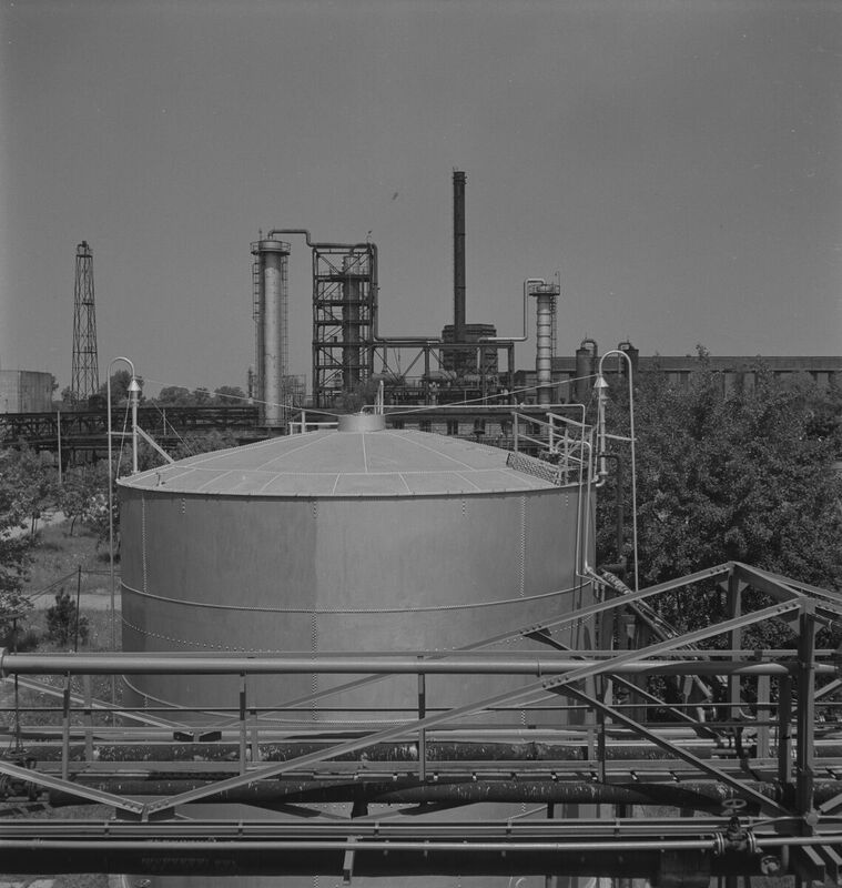 Wirtualne Muzeum Forografii Jan Jastrzebski 12 N 00257